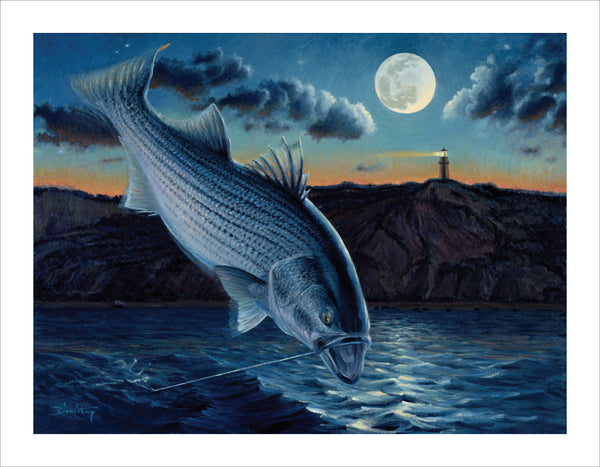 fishing art print of striped bass jumping under full moon, Taking Flight
