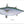 Load image into Gallery viewer, fishing art print of false albacore
