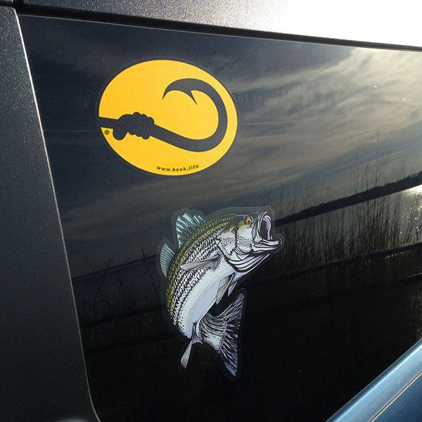 Hook Life fishing bumper sticker and striped bass bumper sticker on a car window with beach reflection